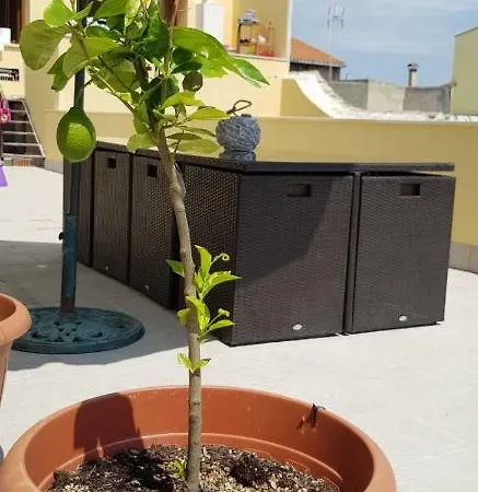 شقة Casa Margherita كوارتو سانتيلينا
